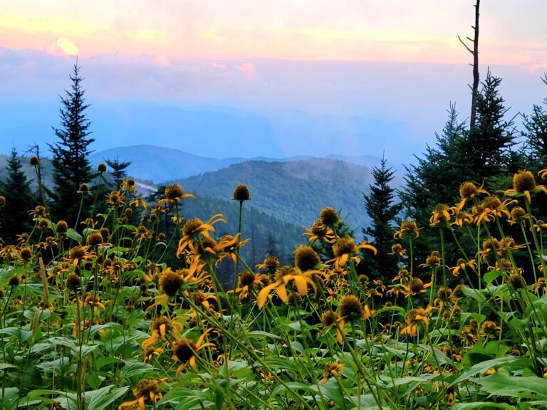 Smoky Mountain Family Vacation Travel Guide