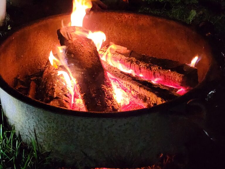 Kids Camping Essentials: Ultimate Guide for Fun and Safety (2024)
