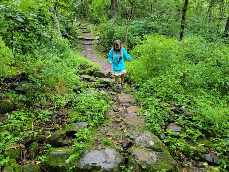 13 Of  The Best Hikes in Shenandoah National Park For Families