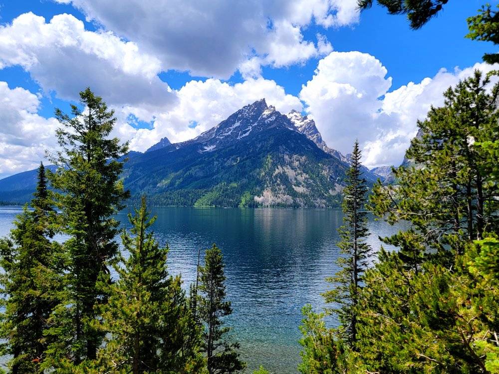 Scenic view of mountain lake with pine trees and Tetons in Grand Teton National Park