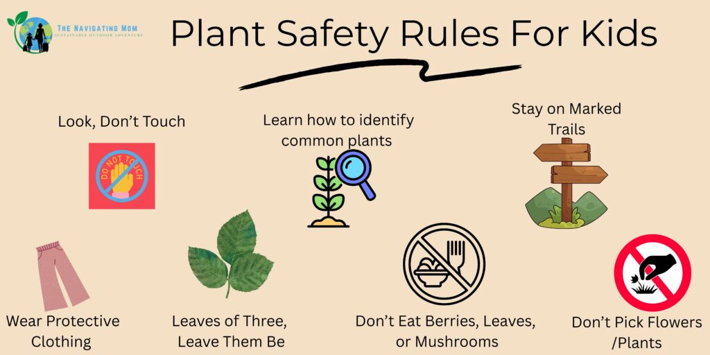 Infographic of plant safety rules for kids, including don’t touch plants, stay on trails, avoid eating wild plants, and wear protective clothing.