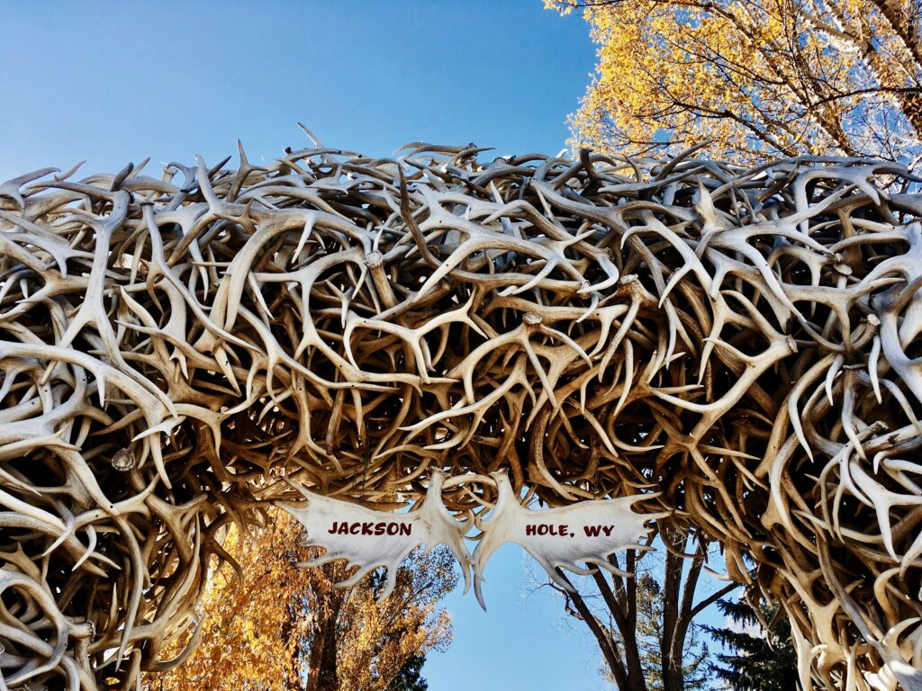 Elk antler arch in Jackson Hole town square with fall foliage and blue sky