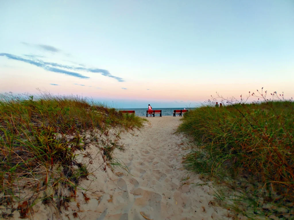 a sandy dunes path with high grass on either side with the ocean and a small child in the distance. 
