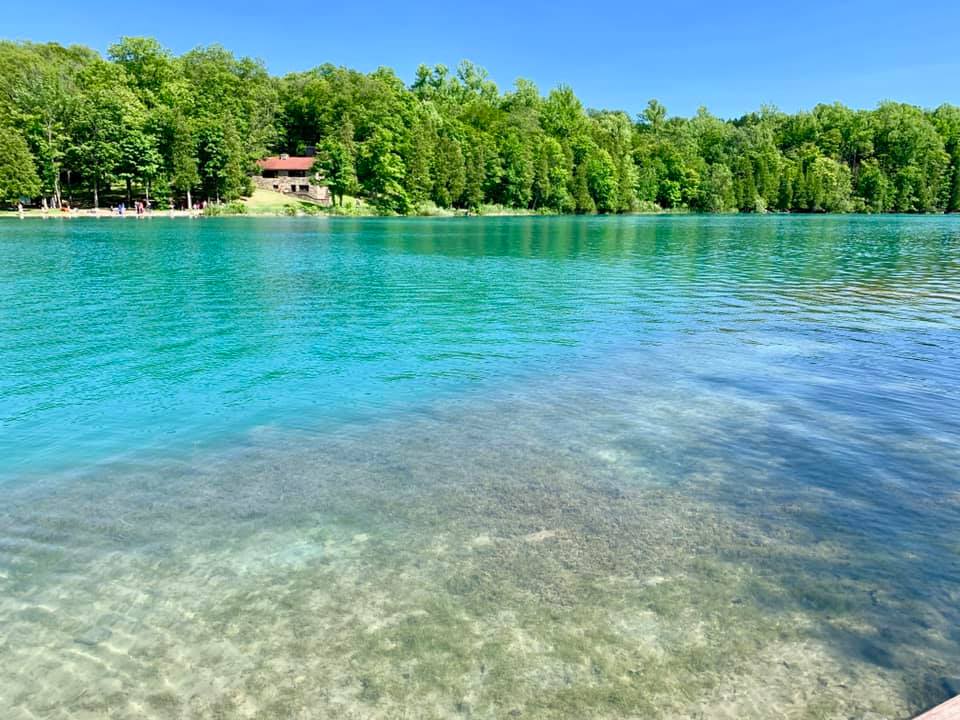 Clear turquoise water along a tree-lined shoreline on a sunny day.