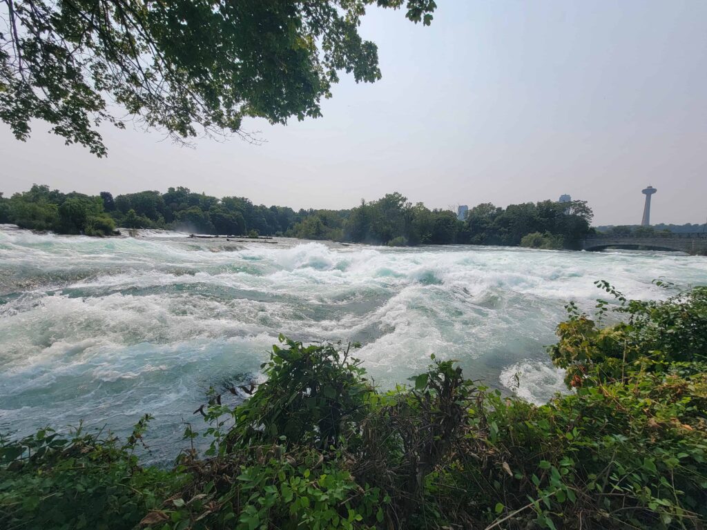Powerful rapids rush through the upper Niagara River near the falls, with lush greenery lining the shoreline and the Skylon Tower visible in the distance.