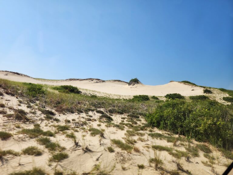 21 Things to Do On Cape Cod With Kids