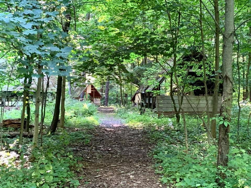 Rustic cabins and a wooded hiking trail at Beechwood State Park