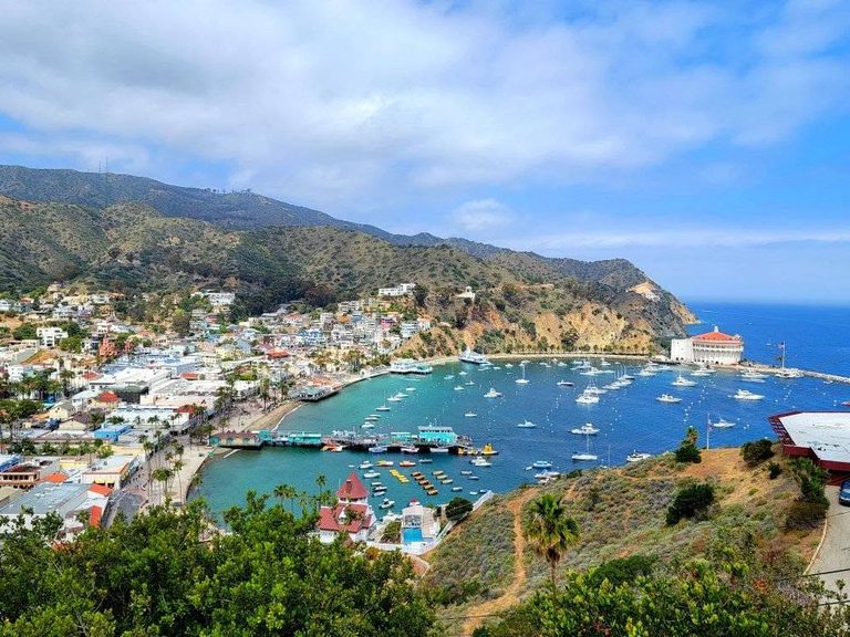 Adventure Packed Catalina Island Day Trip (Visiting Avalon)