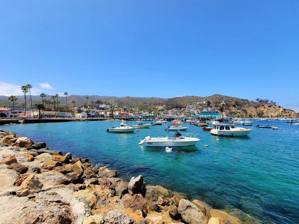 Boats anchored in the turquoise waters along Catalina Island's coastline.