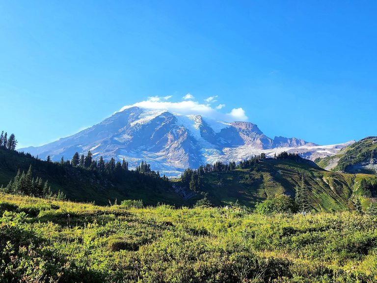 Mount Rainier National Park With Kids: 17 Things You Don’t Want To Miss